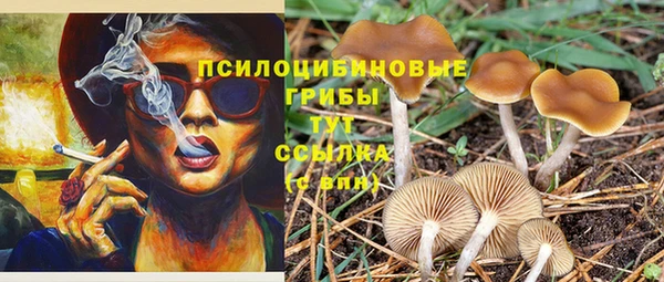 мяу мяу мука Арсеньев