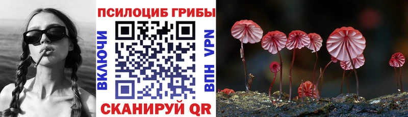 где купить наркотик  гидра как зайти  Галлюциногенные грибы мицелий  Аркадак 
